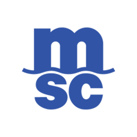 Corporate Training Company for MSC