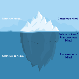 The Iceberg Model of Consciousness - Eagle Training